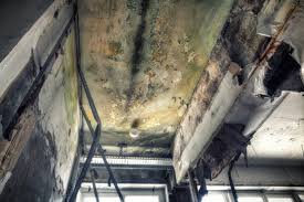 Best Residential Mold Inspection & Testing  in Cedar Ridge, CA